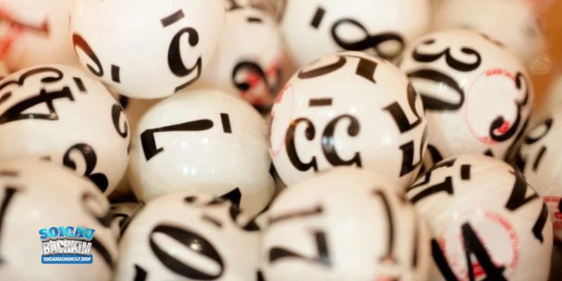 Kết quả xổ số miền Bắc 30 ngày - Loto, đầu đuôi và giải đặc biệt Kết quả xổ số miền Bắc 30 ngày - Loto, đầu đuôi và giải đặc biệt