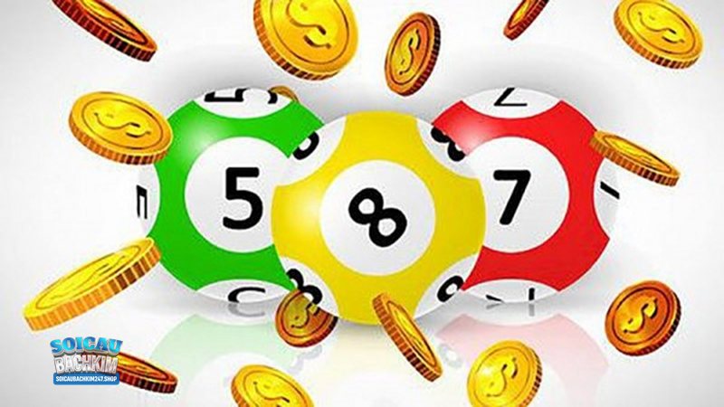 Xổ số miền Nam thứ sáu hàng tuần - Tra cứu online sau giờ quay Xổ số miền Nam thứ sáu hàng tuần - Tra cứu online sau giờ quay